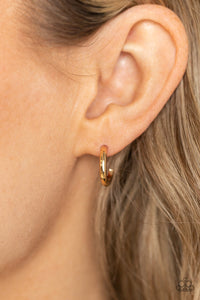 Small-Scale Shimmer - Gold Hoops